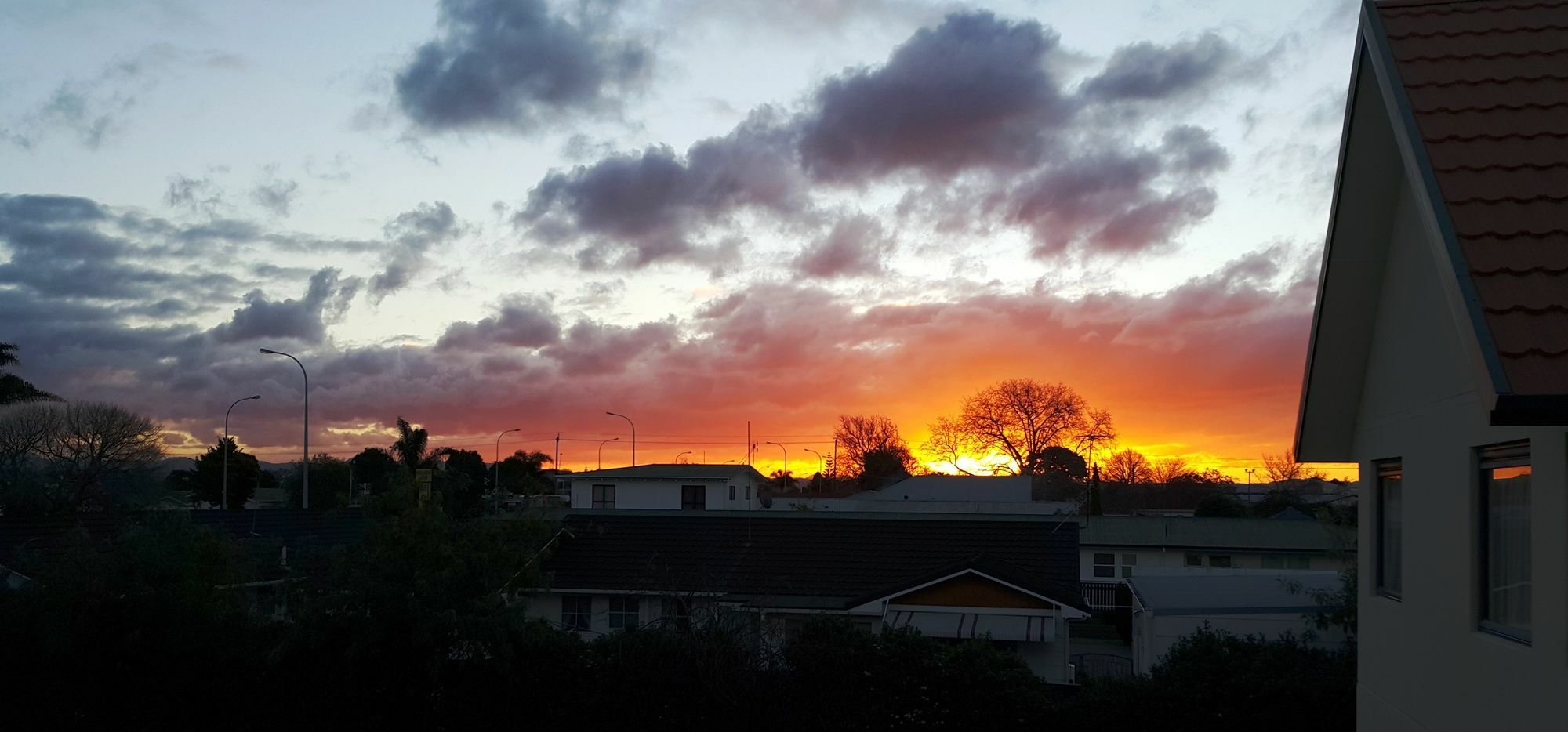 Bella Vista Gisborne Motel Eksteriør billede